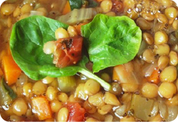 schoollunch module1